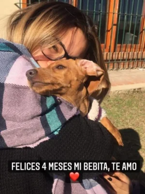 Mina argentina calienta huevos 3